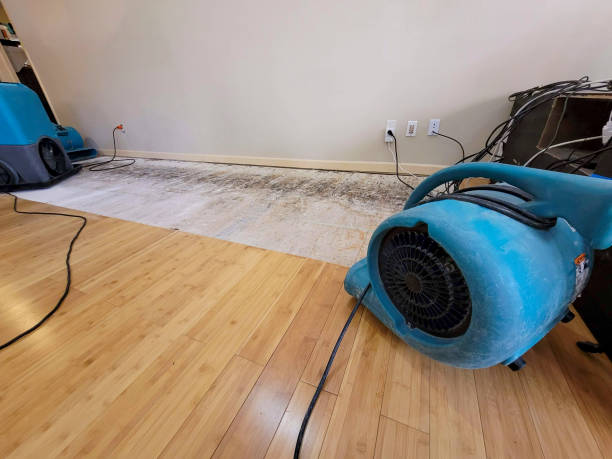 Professional Structural Drying technician working in Troy, NC